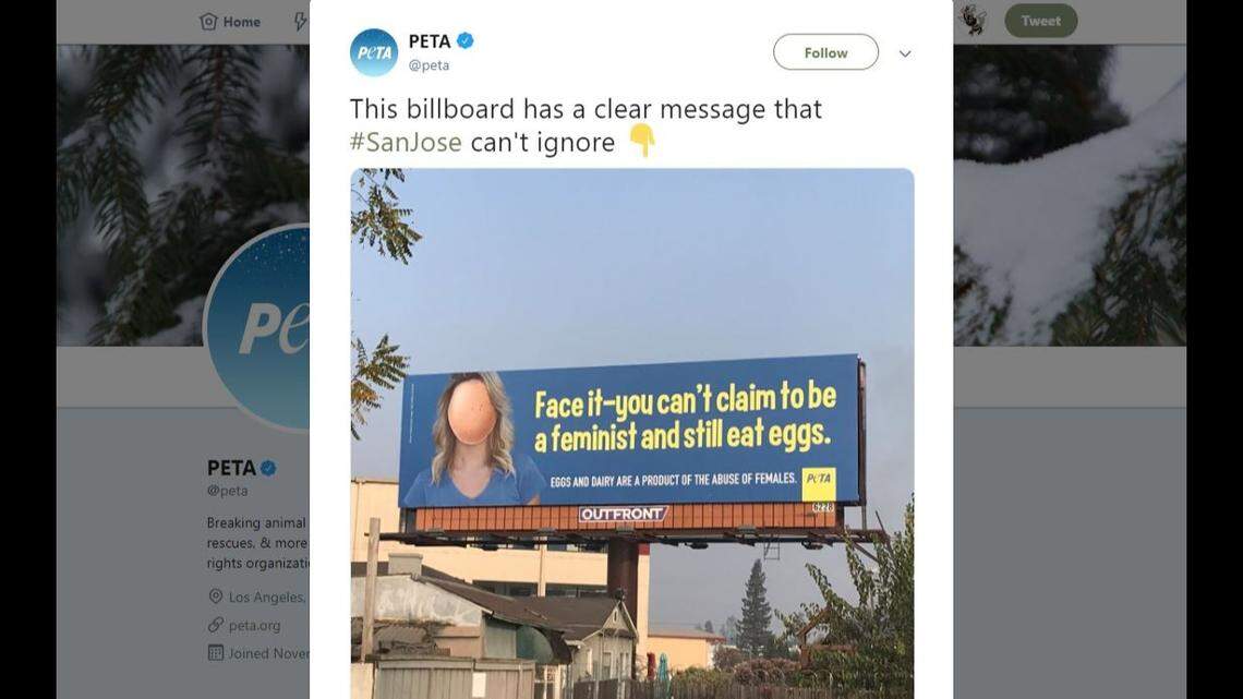 A new People for the Ethical Treatment of Animals billboard in San Jose, California, calls on feminists to stop eating eggs, citing them as “a product of the abuse of females.”