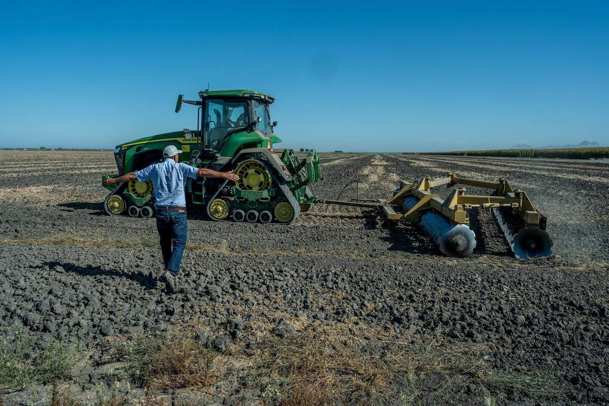 George Tibbitts approaches with his arms outstretched toward his son Carson Tibbitts, who is discing a safflower field before flooding it to create short-term wetland habitat for migratory birds, in Colusa County on Aug. 15.