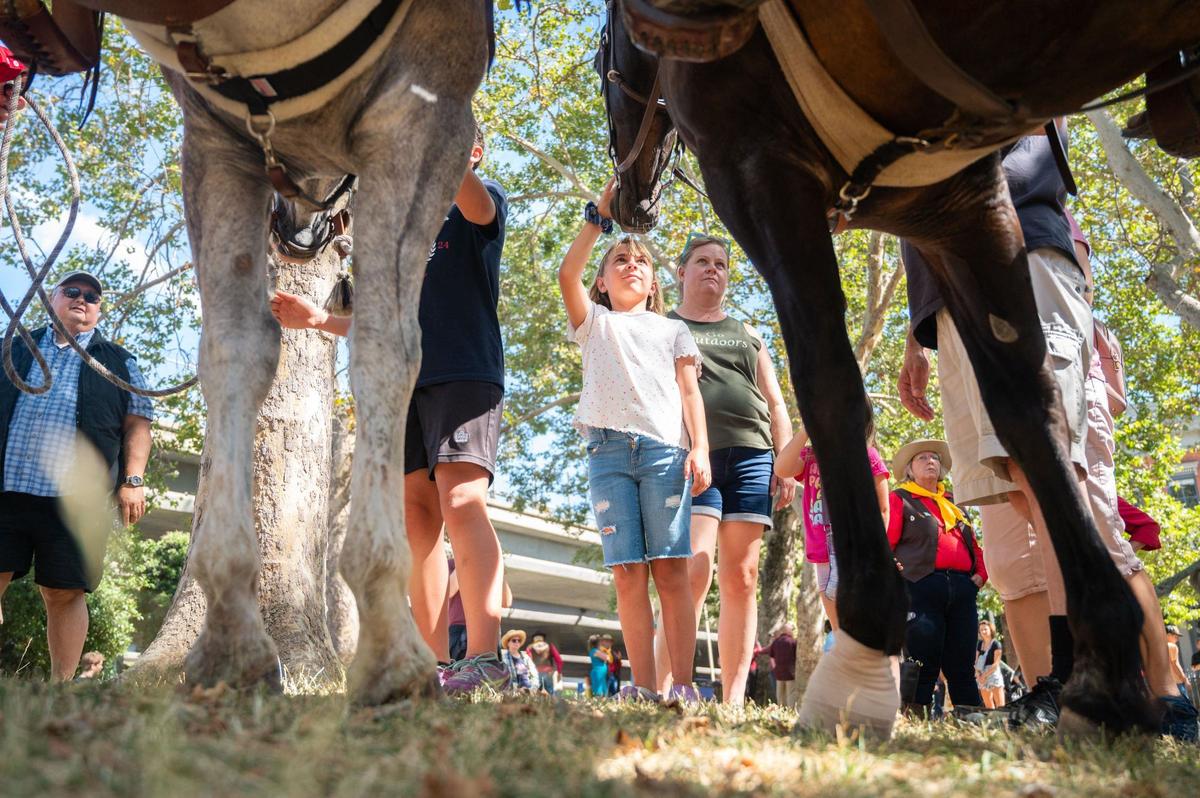 Noelle Athey, 9, center, pets Roscoe, one of the horses who traveled a stretch of the historic Pony Express trail, near the Pony Express Statue in Old Sacramento on Thursday. Athey said her favorite part of the day was interacting with the horses, even though one was sweaty and the other shed like her cat.