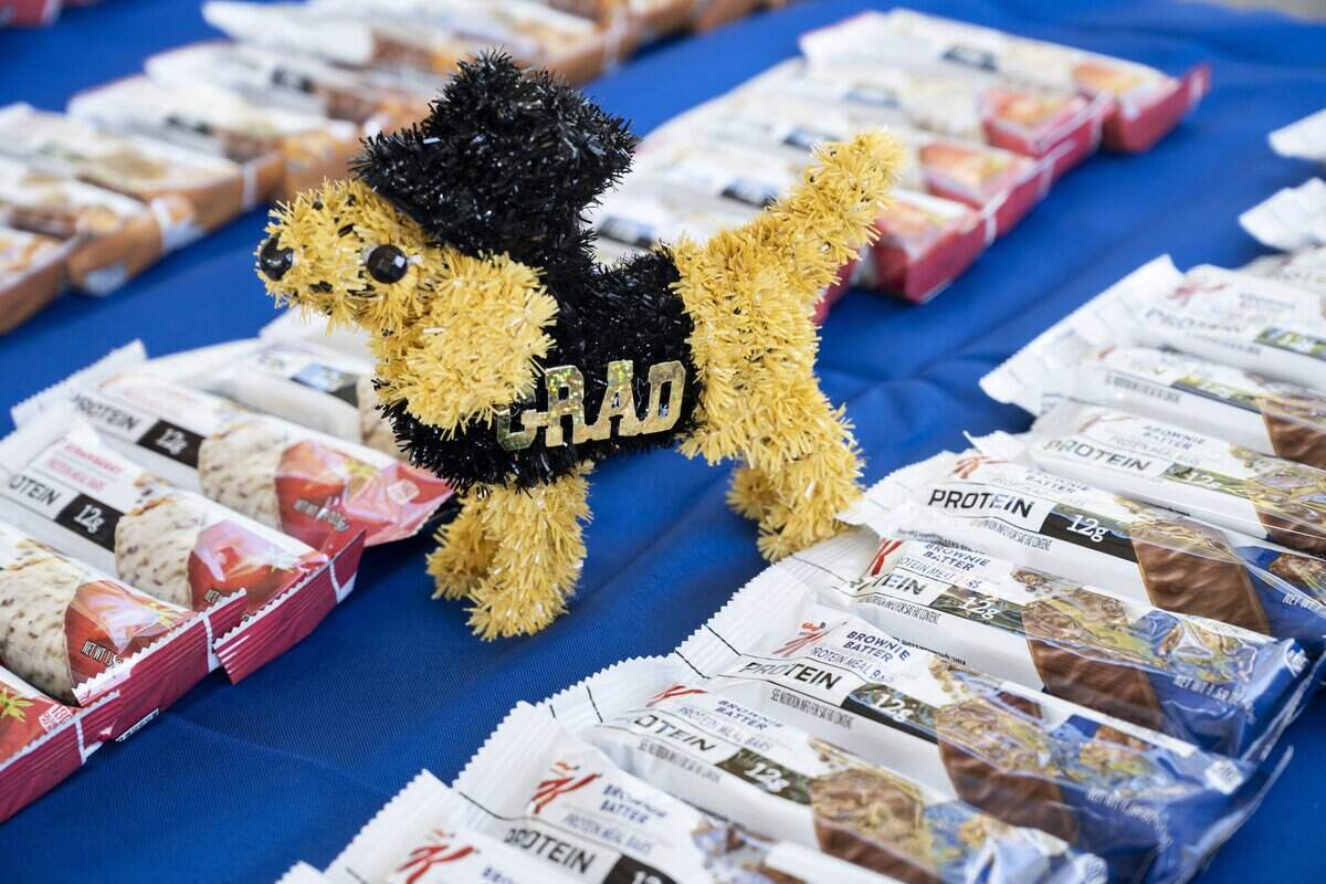 A dog graduation decoration stands among snacks during the California Highway Patrol K-9 graduation ceremony at the CHP Academy in West Sacramento on Friday, July 10, 2026.