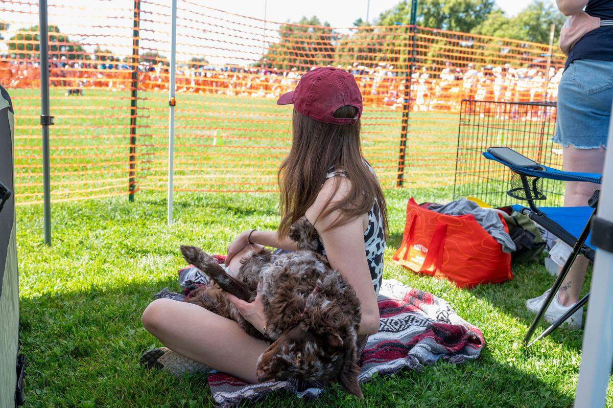 Samantha Van Buren sits with her dog Guava, a mudi, while waiting to compete in the Frisbee Dog contest at UC Davis’ Picnic Day on Saturday.
