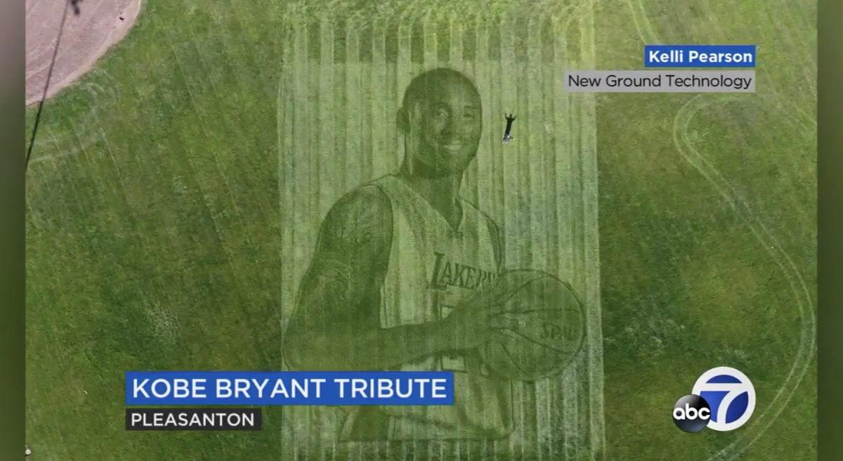Kelli Pearson and Pete Davis, a Pleasanton, CA couple, created a 115-foot tall by 92-foot wide grass mural of Kobe Bryant that can only be seen from aerial view.