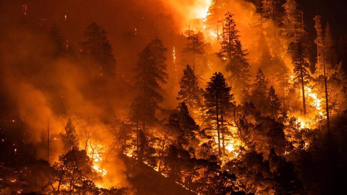 Northern California could face dire wildfire danger in 2022. How high is the risk?
