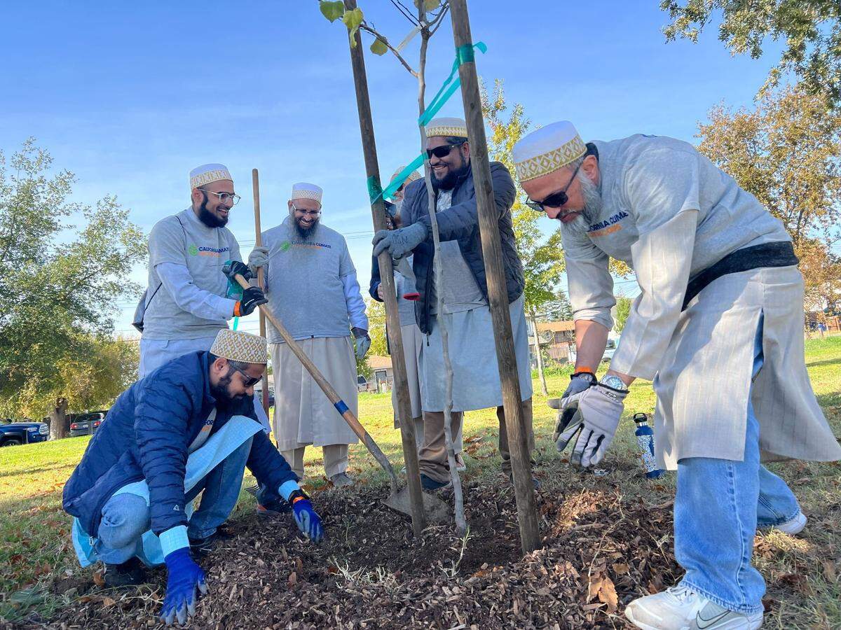 More than 200 volunteers participated in a community climate action event put on by the California Climate Action Corps on Saturday, Nov. 16, where they planted trees in a Del Paso Heights park.