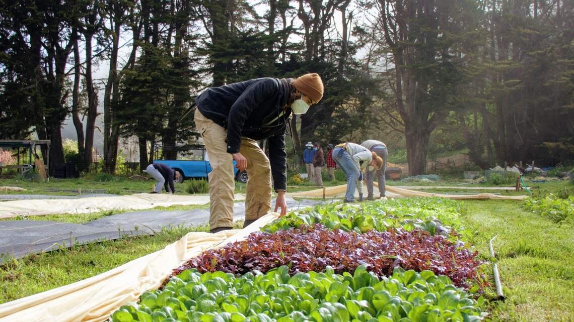 Take a deep breath and enjoy the scenery at Green Gulch Farm, a retreat from Sacramento