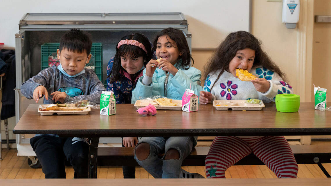 Looking for a top-rated lunch box for the school year? Prices, sizes and durability