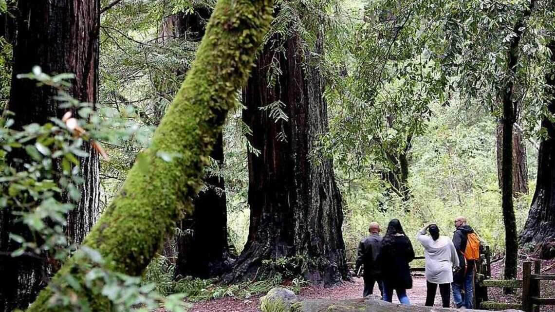 CA state park is top spot for hiking in 2026. Where to go for ‘spectacular views’