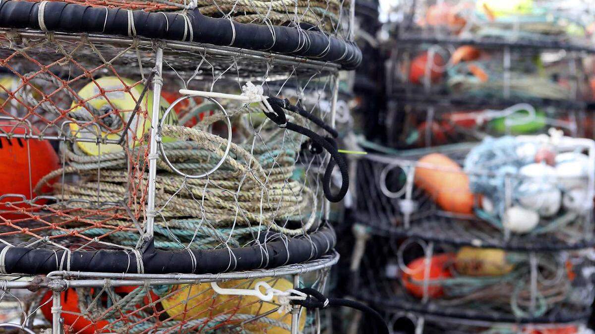 Crab pots at the Santa Cruz Small Craft Harbor on Thursday. California Department of Fish and Wildlife officials have announced that the commercial Dungeness fishing season will likely be delayed until Dec. 15 to decrease the chances of whales currently off the coast getting ensnarled by fishing lines.