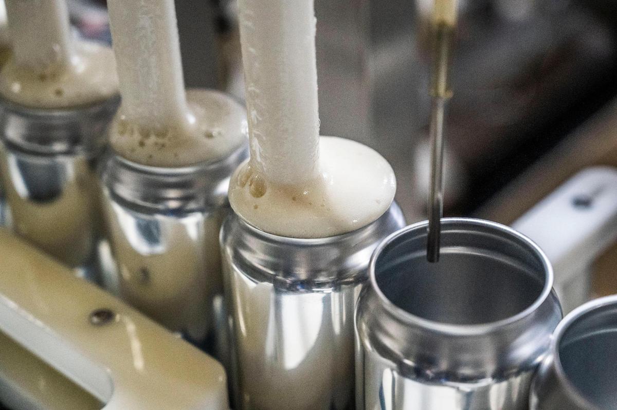 Beer is canned at Jackrabbit Brewing in West Sacramento on April 18 where Onibi craft beer is made.