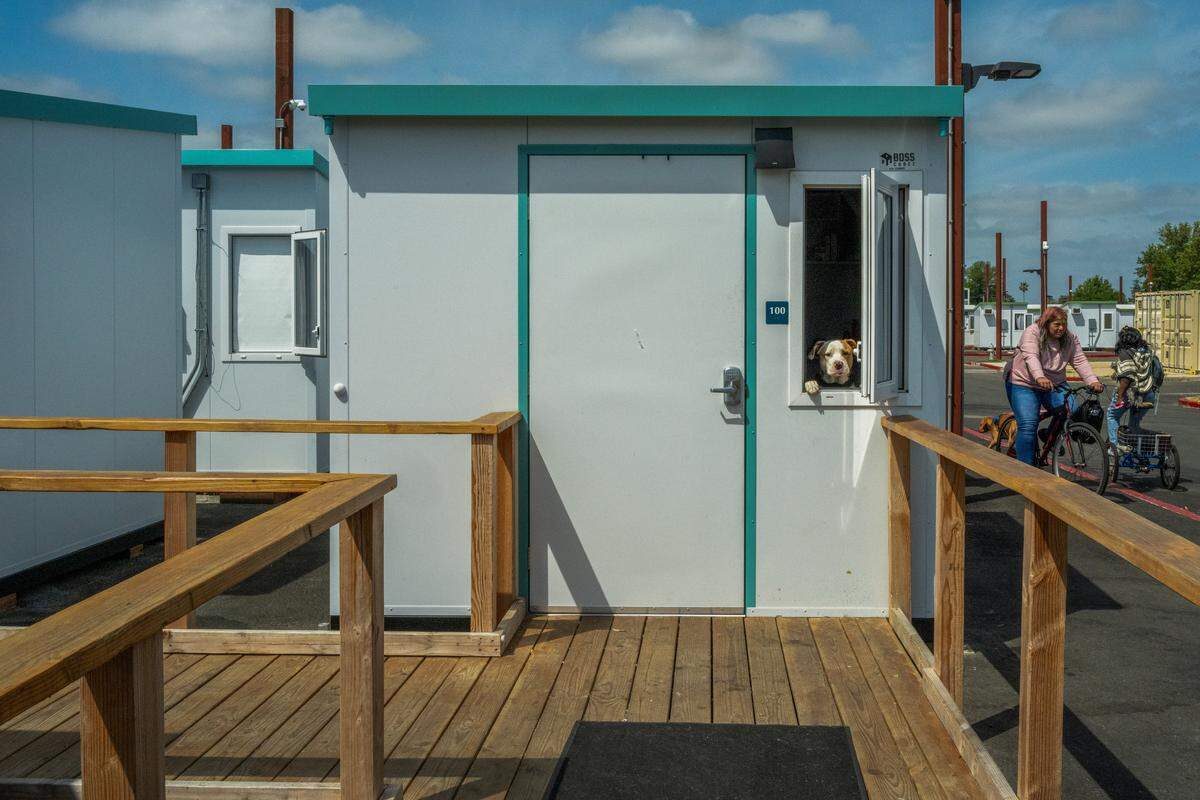 A dog peers out of a sleeping cabin inside the gated Sacramento County's Stockton Boulevard Safe Stay Community in April. The temporary shelter and support community helps adults who are homeless — singles or couples — find stability and eventually transition to permanent housing. Residents are generally expected to stay only a few months, but those who actively engage in services may remain longer. 