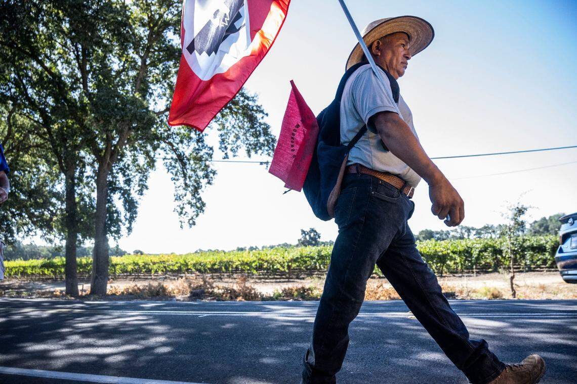 Doroteo Jimenez, of Lodi, who lost his niece Maria Isabel to heat exposure in 2008, joins the UFW march after it made a stop in Galt on Tuesday.