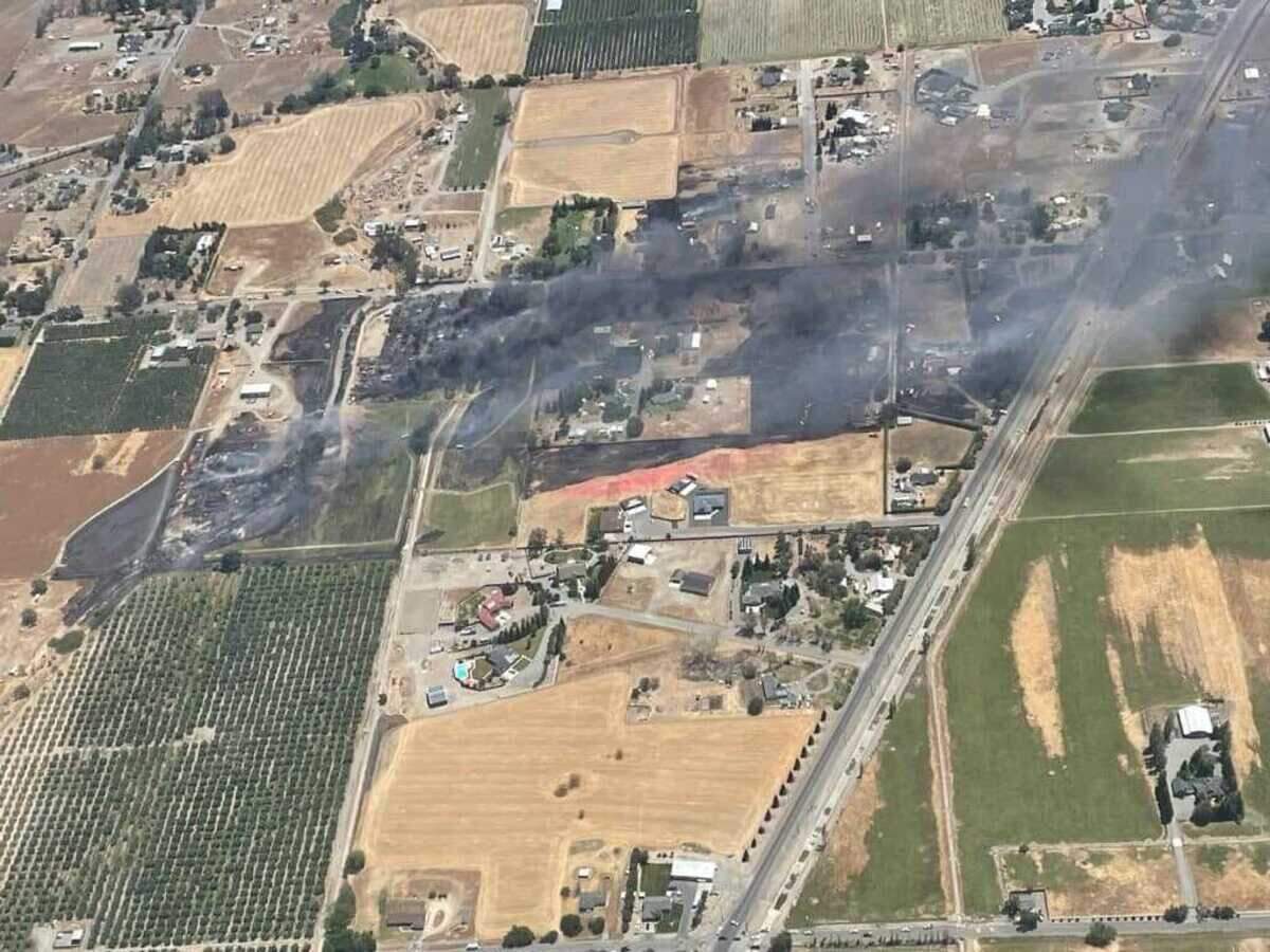The Edward Fire burned about 50 acres on May 24, 2022, before firefighters stopped its forward progress near Orland, California.