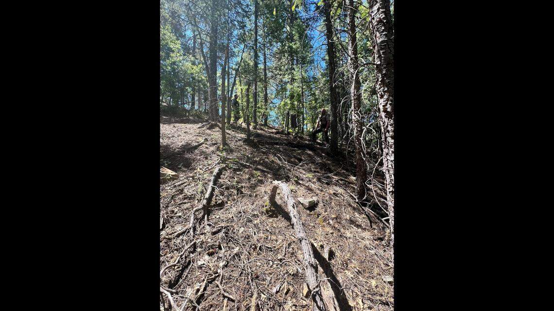 A new report released information about the health of a black bear after it killed a 66-year-old man June 16 near Prescott, Arizona, officials said. The bear dragged the man 75 feet down an embankment.