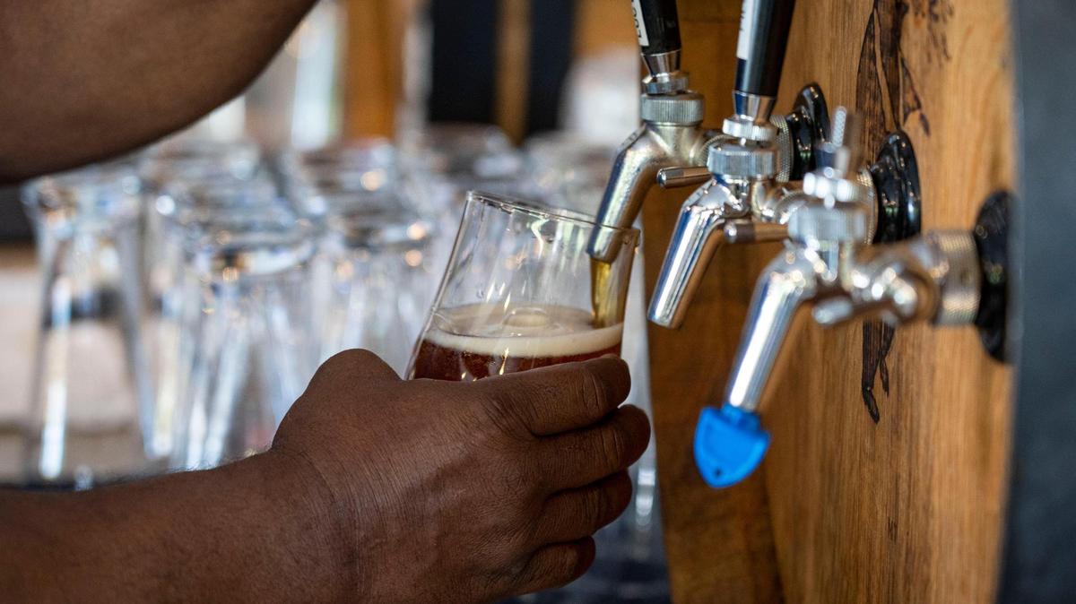 Beer being poured from the tap at Dreaming Dog Brewery in Elk Grove on Saturday, May 29, 2021.