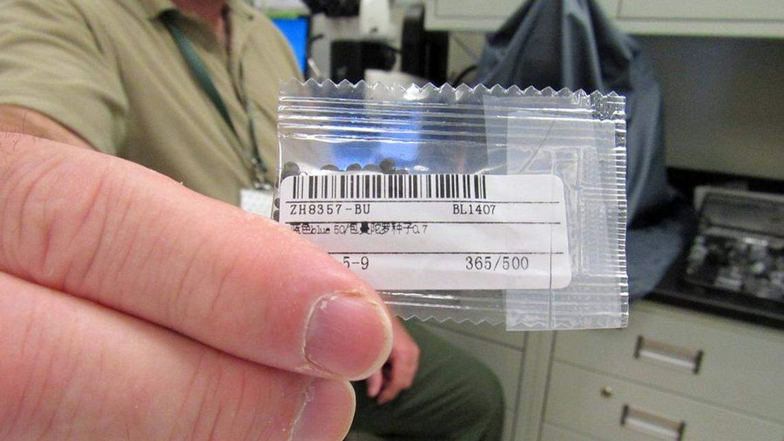 China sent us ... cabbage? USDA identifies some of the seeds in mystery packages