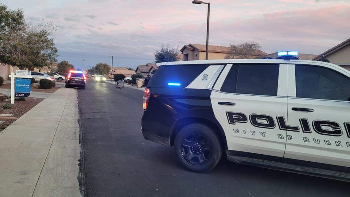 A mother and her son were taken to the hospital after being attacked by their family dogs, Arizona officials said.