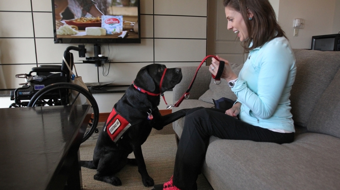 Amputees move past Boston bombing with Rescue the dog. Now he stars in their book for kids.