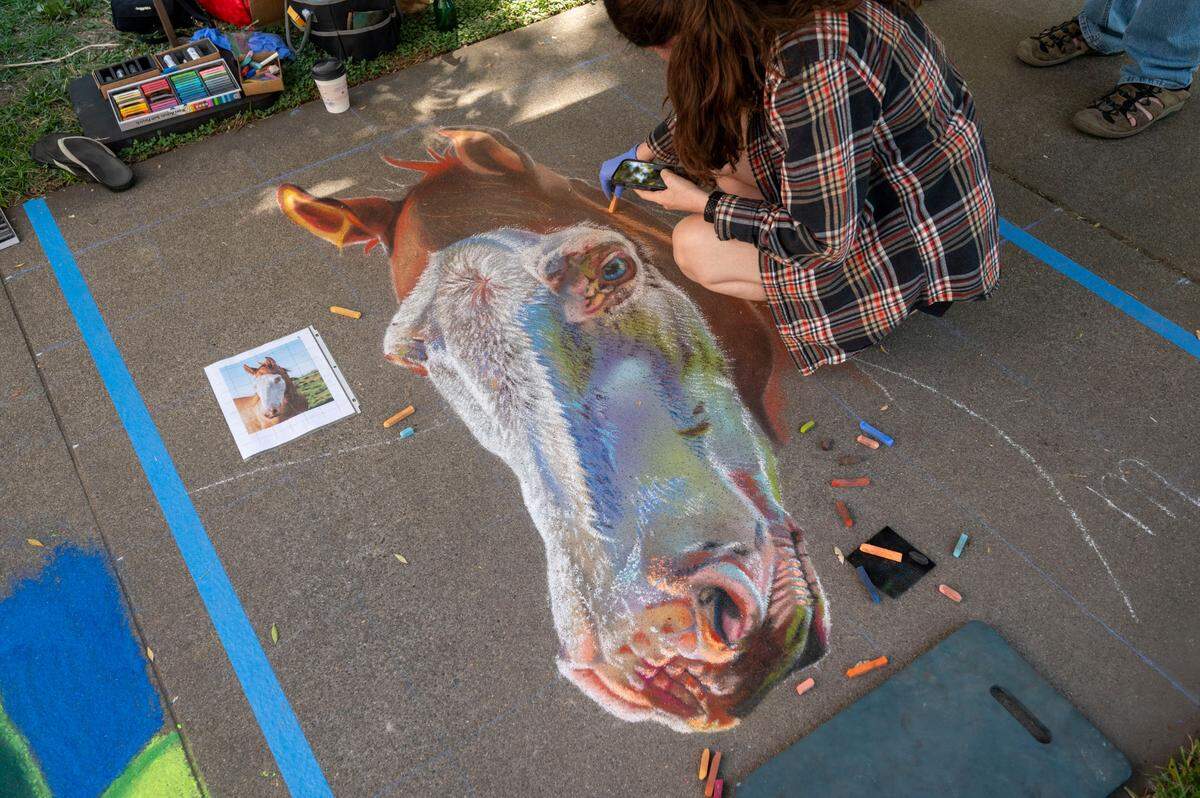 Sacramento artist Amanda Maurer works on a sidewalk painting of a horse at Chalk it Up festival on Sunday at Fremont Park.