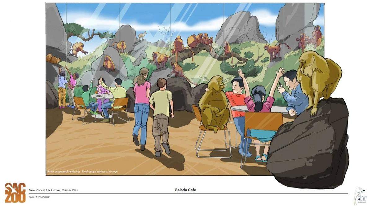 A conceptual rendering released in November 2023 by Sacramento Zoological Society shows a cafe neighboring primates at the proposed relocated zoo in Elk Grove.