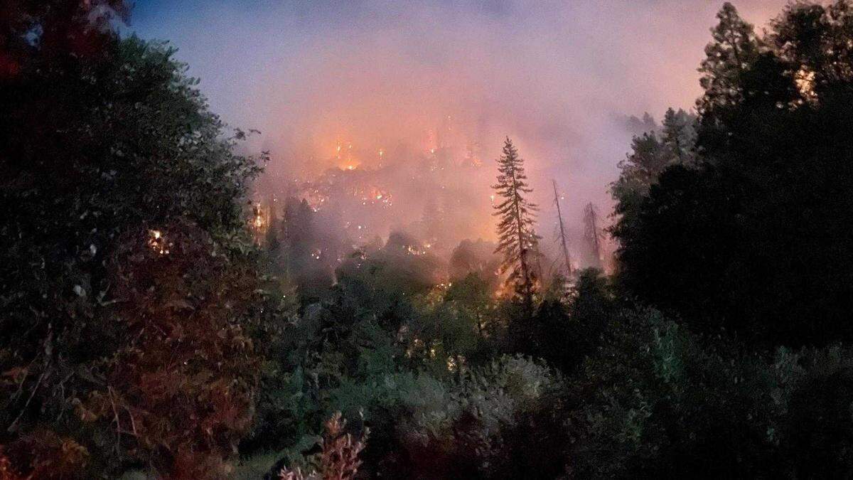 A hillside of ground fire is seen at the Shoe Fire last month in the Shasta-Trinity National Forest. U.S. Forest Service officials said Monday that the fire that had been burning since Oct. 9 was 100% contained.