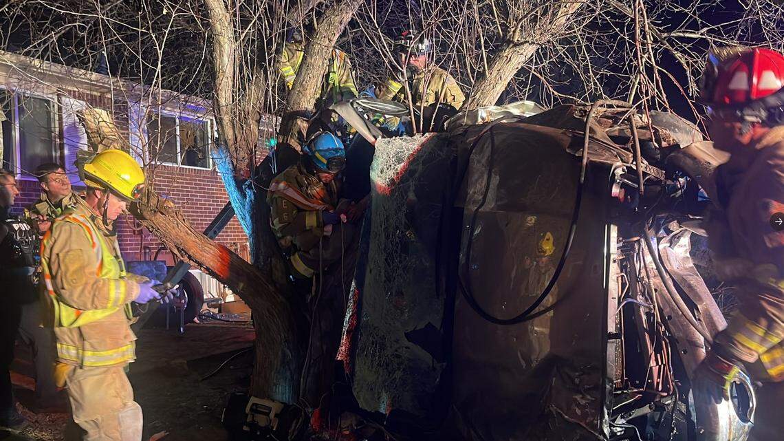 On Dec. 28, a car got wedged in a tree after becoming airborne in a suspected DUI crash, Colorado officials said.