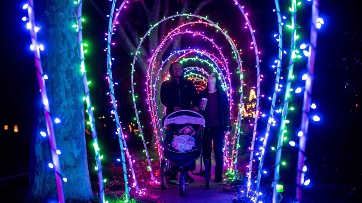 Las familias caminan bajo un arco de luces a lo largo de la acera frente a varias casas en la cuadra 5300 de T Street en el barrio de Elmhurst de Sacramento en diciembre.