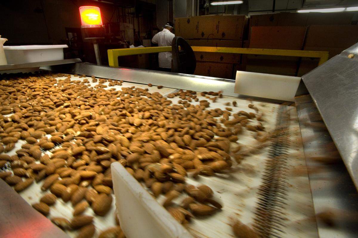 Almonds make their way on the conveyor belt headed for packaging at the Blue Diamond Almond plant in 2010.