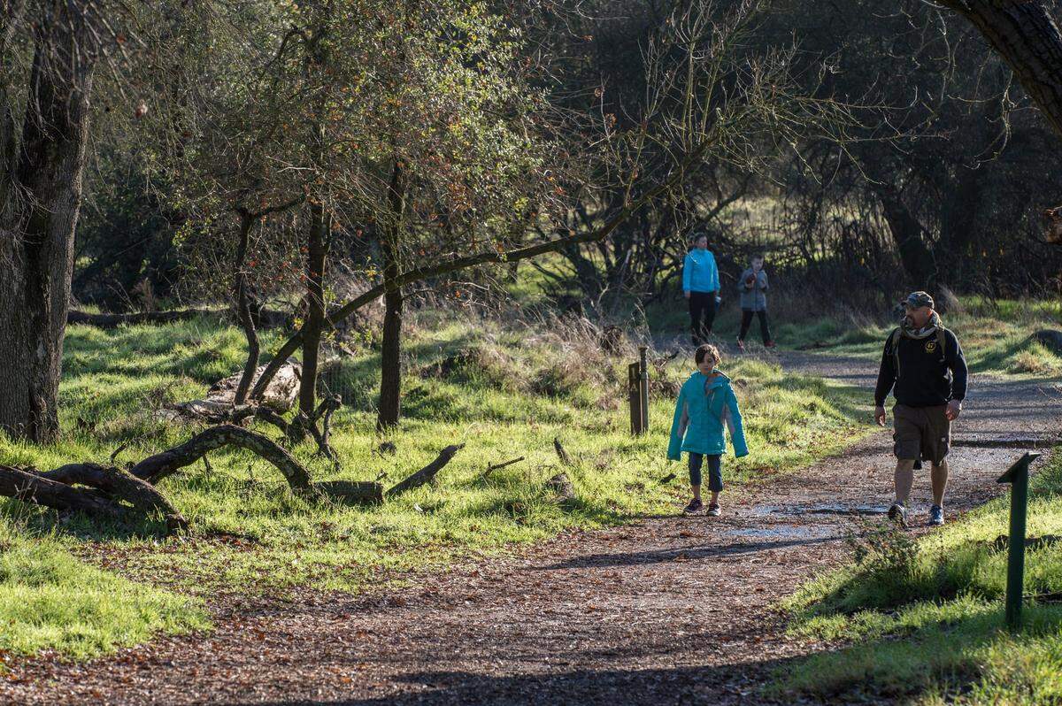 Ancil Hoffman Park has a noted golf course, trails, ancient oak trees, river access, and the Effie Yeaw Nature Center. Effie Yeaw has peaceful nature trails and a wide range of wildlife.
