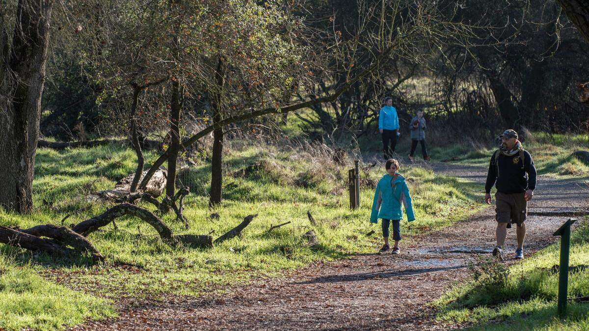 Ancil Hoffman Park has a noted golf course, trails, ancient oak trees, river access, and the Effie Yeaw Nature Center. The Carmichael park will close for upgrades Wednesday for two months. Visitor access to Ancil Hoffman Golf Course and Effie Yeaw Nature Center remains open during repairs.