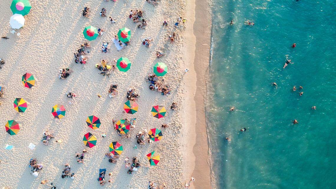 Experts offer ways to help manage dysfunctional family dynamics while on vacation.