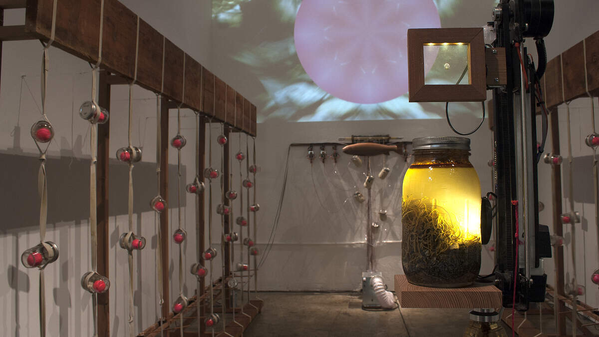 UC Davis MFA graduate Terry Peterson’s large multimedia installation “Spawning Ground” resembles a scientific laboratory on a primitive planet light years away.