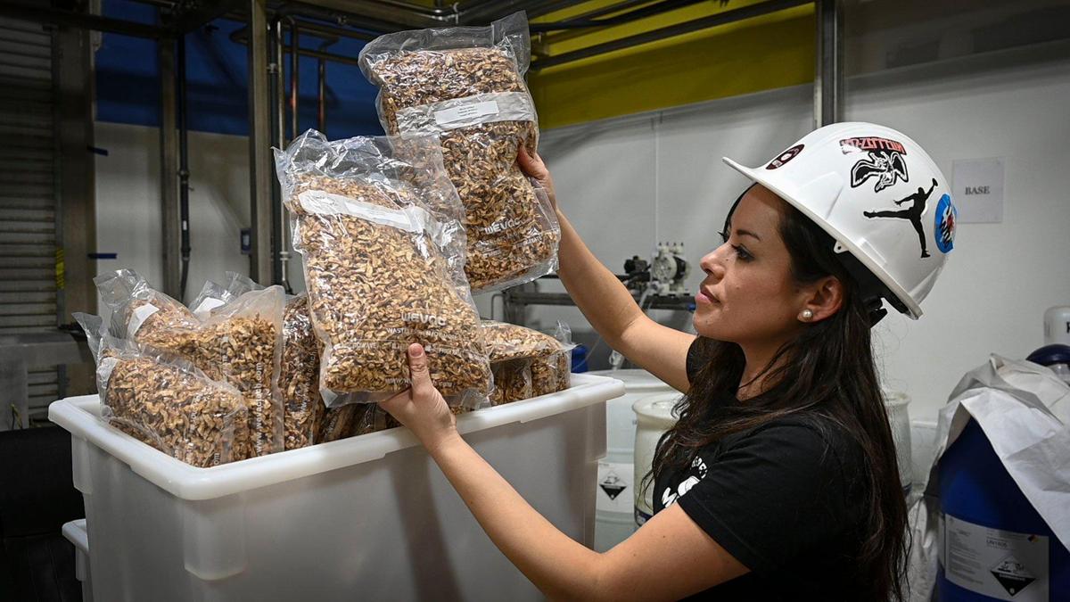 The Better Meat Co.’s Executive Vice President Doni Curkendall shows bags of their plant-based meat product “rhiza” at their headquarters in West Sacramento on Feb. 24. Per 100 grams, it has more iron than beef, more potassium than bananas and more fiber than oats, Curkendall said.