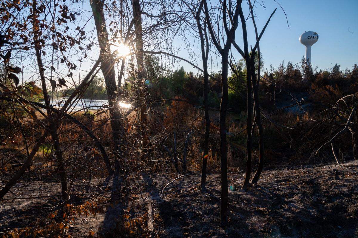 A fire in early June 2020 damaged the habitat of the imperiled western pond turtle at Bushy Lake in Sacramento’s American River Parkway, photographed Monday, June 14, 2021 in Sacramento.