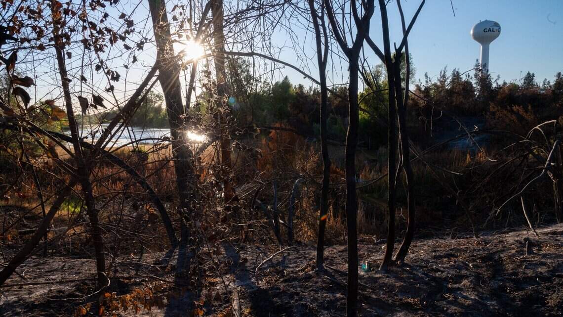 We’re averting our eyes from an environmental disaster in plain sight. Let’s give a damn