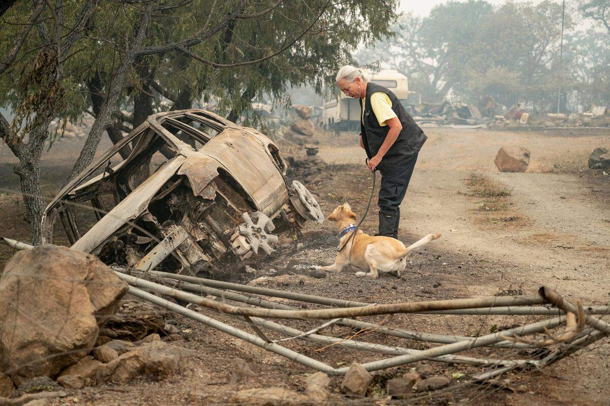 Susan Hobson looks to her search and rescue dog as it signals at the SUV where the remains of two bodies were found in a driveway on Doggett Creek Road in Klamath River on Monday.