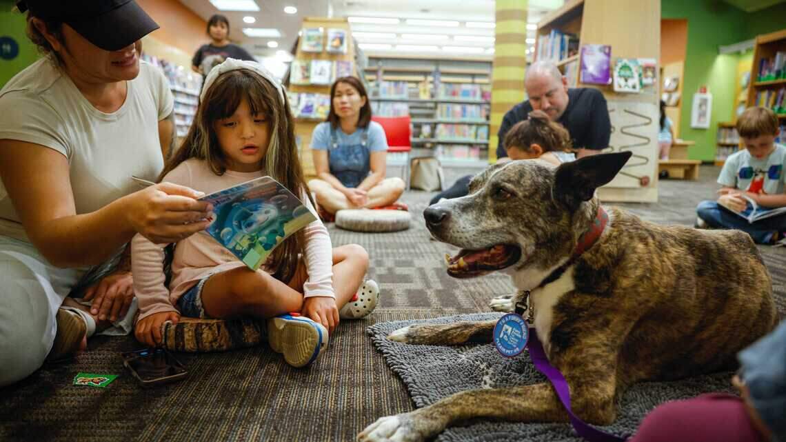 Book bans, censorship, and funding fears challenge Ohio public school librarians