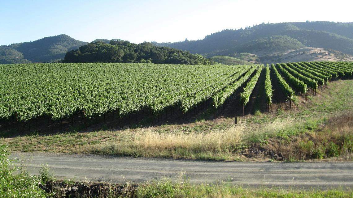 In bid to reopen sooner, Napa County asks California to lift restrictions on wineries