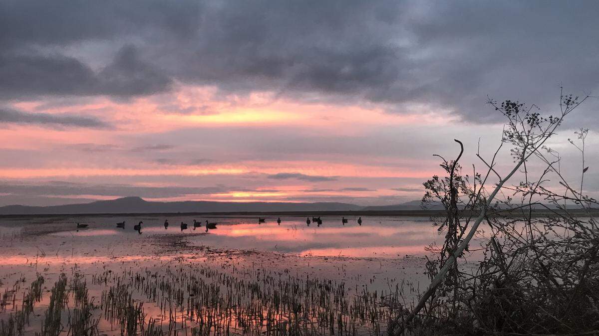 A sunrise over a flooded wheat field at Lower Klamath National Wildlife Refuge, the nation’s first federal sanctuary for waterfowl.