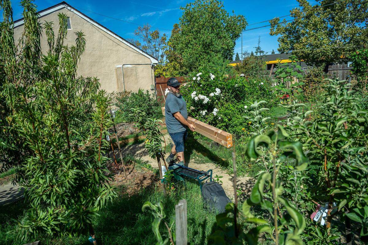 Maximilian Rosa of the Sierra Service Project carries lumber to build a shed inside Safe Harbor community garden in Del Paso Heights earlier this month . The garden is adjacent to a tiny home community that Robin Moore created as an emergency shelter for the homeless in her backyard.
