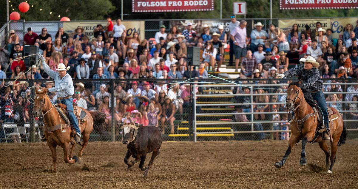 A team of ropers swing their lassos attempting to catch a calf during the Folsom Pro Rodeo on Thursday.