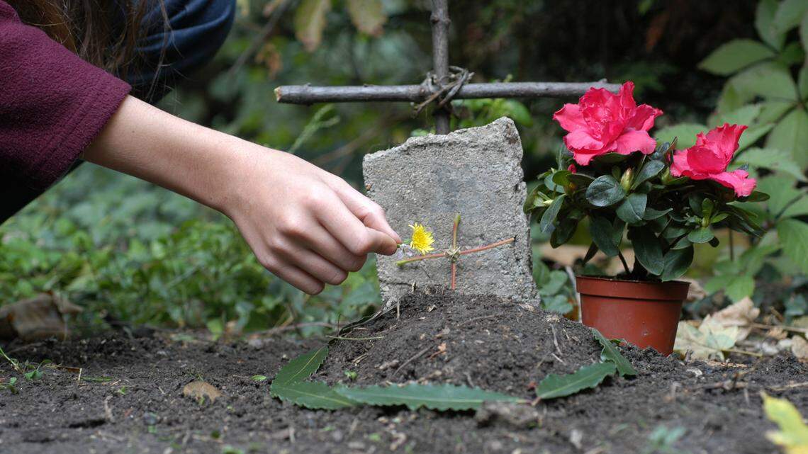 Can you bury a relative in your backyard? A pet? See 4 California burial laws
