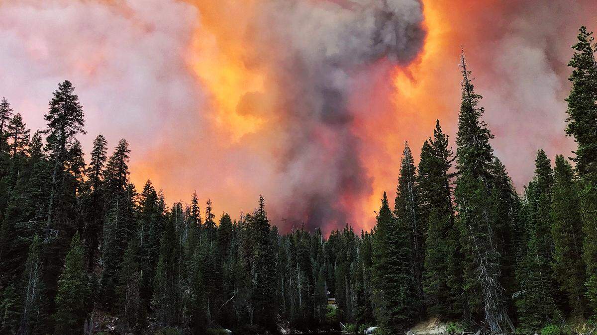 Wildfire season is now in Northern California. Here’s how to be prepared