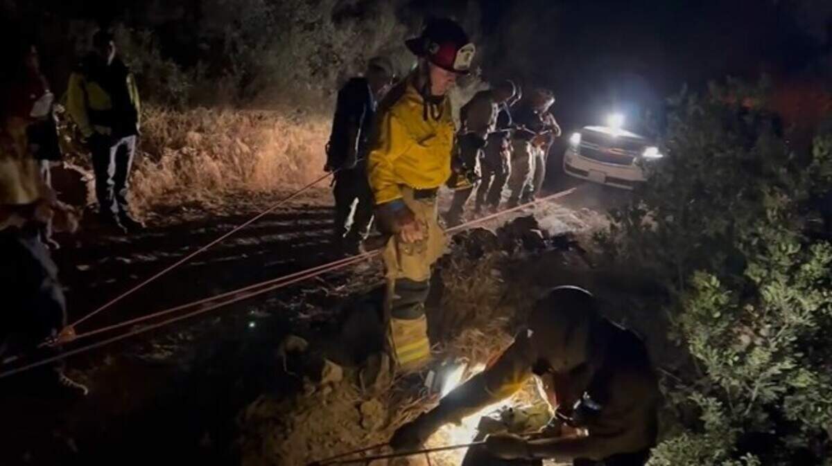 A hunter stranded 80 to 100 feet down a Santa Barbara County cliff fired a gunshot to summon help, California firefighters say.