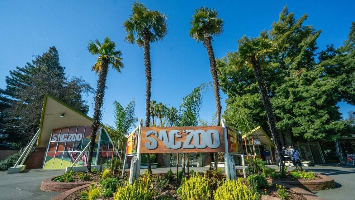 Sacramento Zoo to close early Sunday, Monday as heat tops 100 degrees
