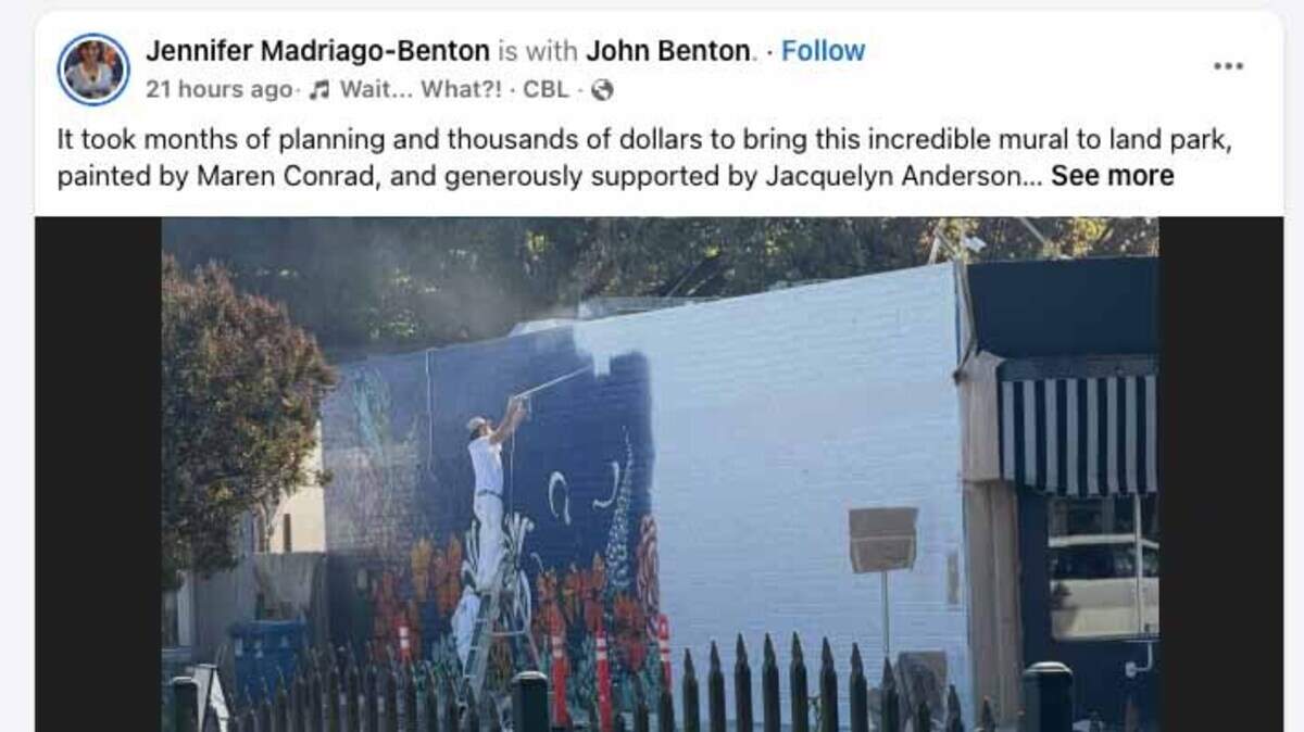 Sacramento Community Outraged After Vic's Ice Cream Paints Over Local Mural