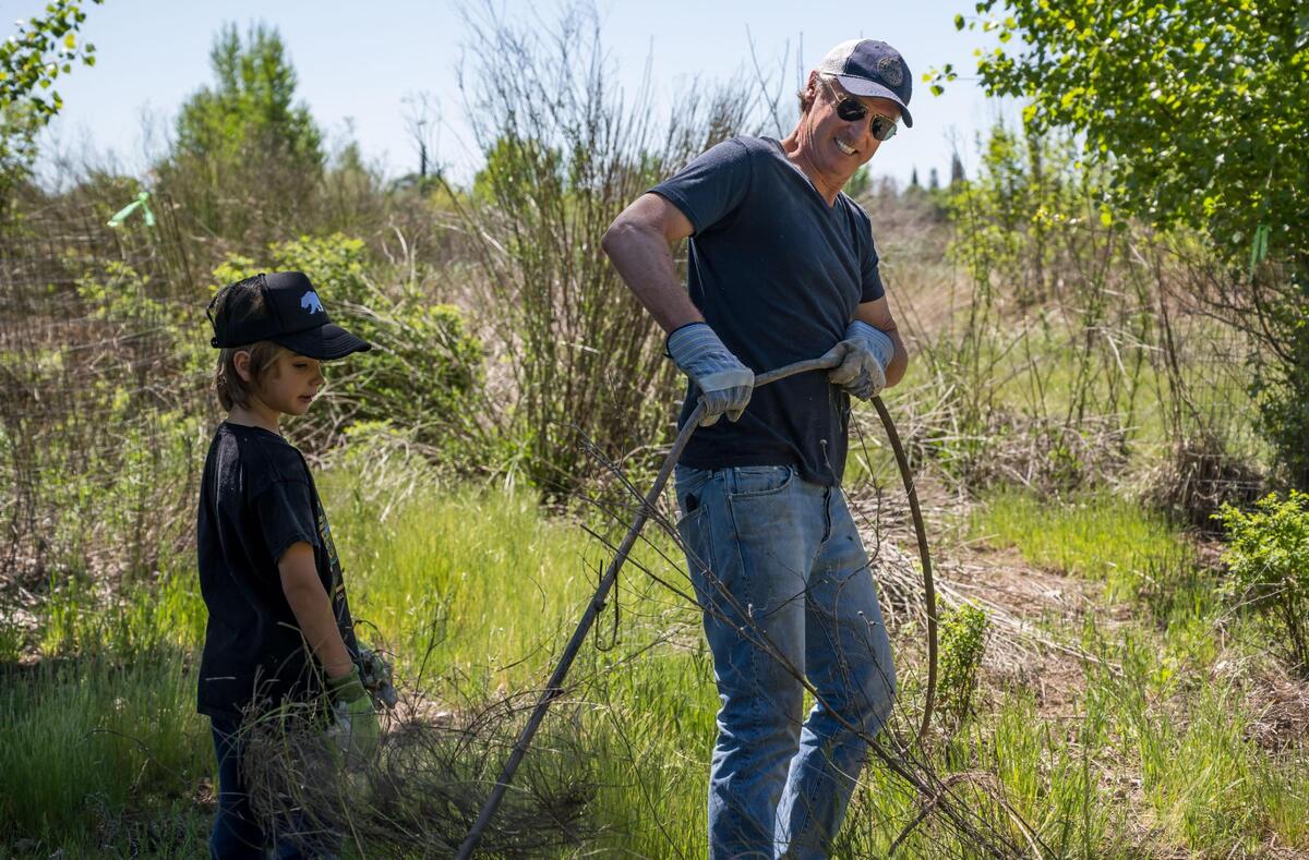 Gov. Gavin Newsom, alongside his son Dutch, pulls on an old irrigation line as part of the cleanup during the Earth Day celebration at Soil Born Farms on Saturday in Rancho Cordova. The event was hosted by First Partner Jennifer Siebel Newsom, in partnership with the California Department of Food and Agriculture and California Volunteers.