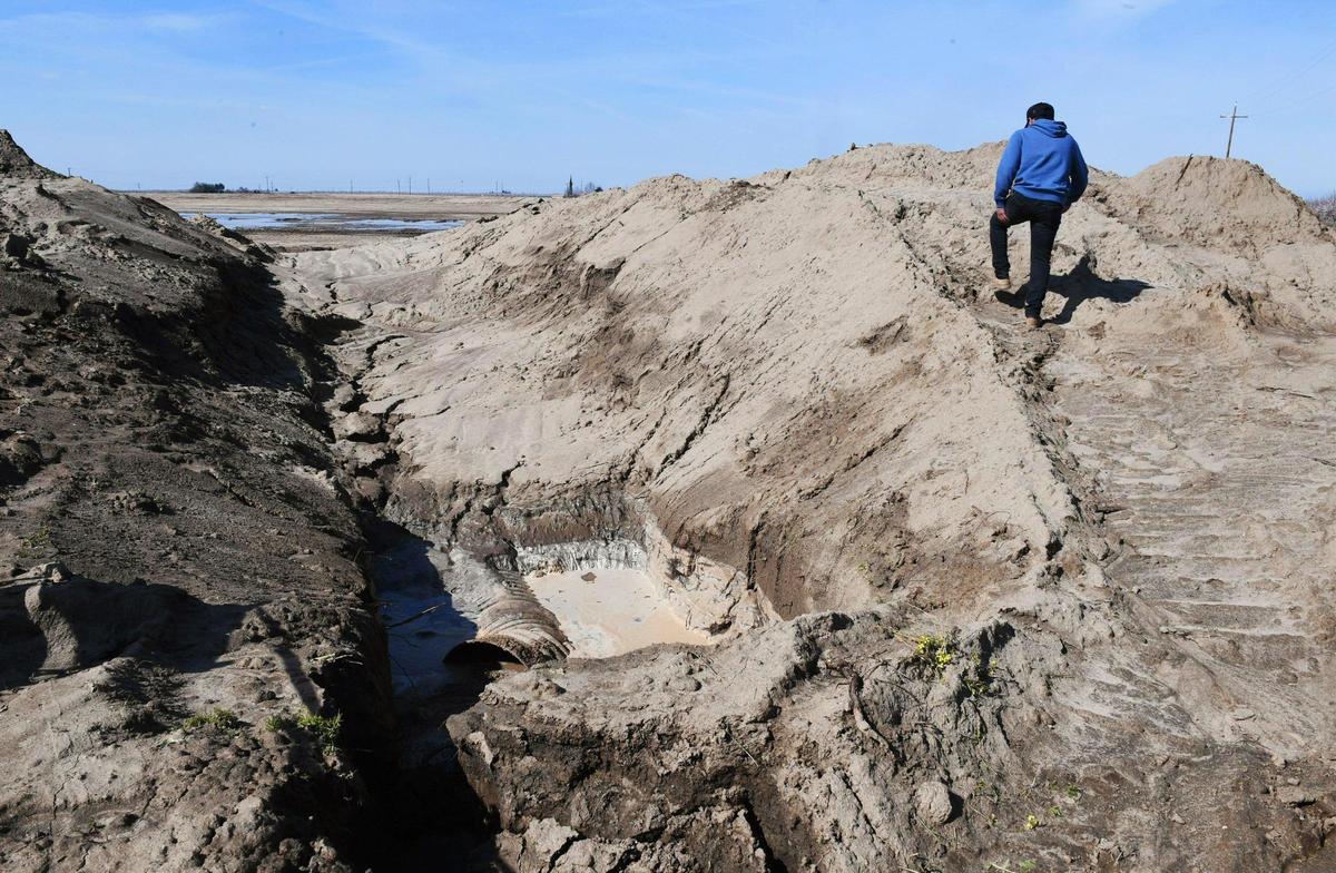 Kevin Markarian climbs an embankment surrounding a 20-acre basin on his family’s sland, a National Resources Conservation Service project hoping to recharge the local aquifer. The recharging basin is adjacent to another 20 acres for a future basin. Photographed Friday, March 3, 2023 near Madera.