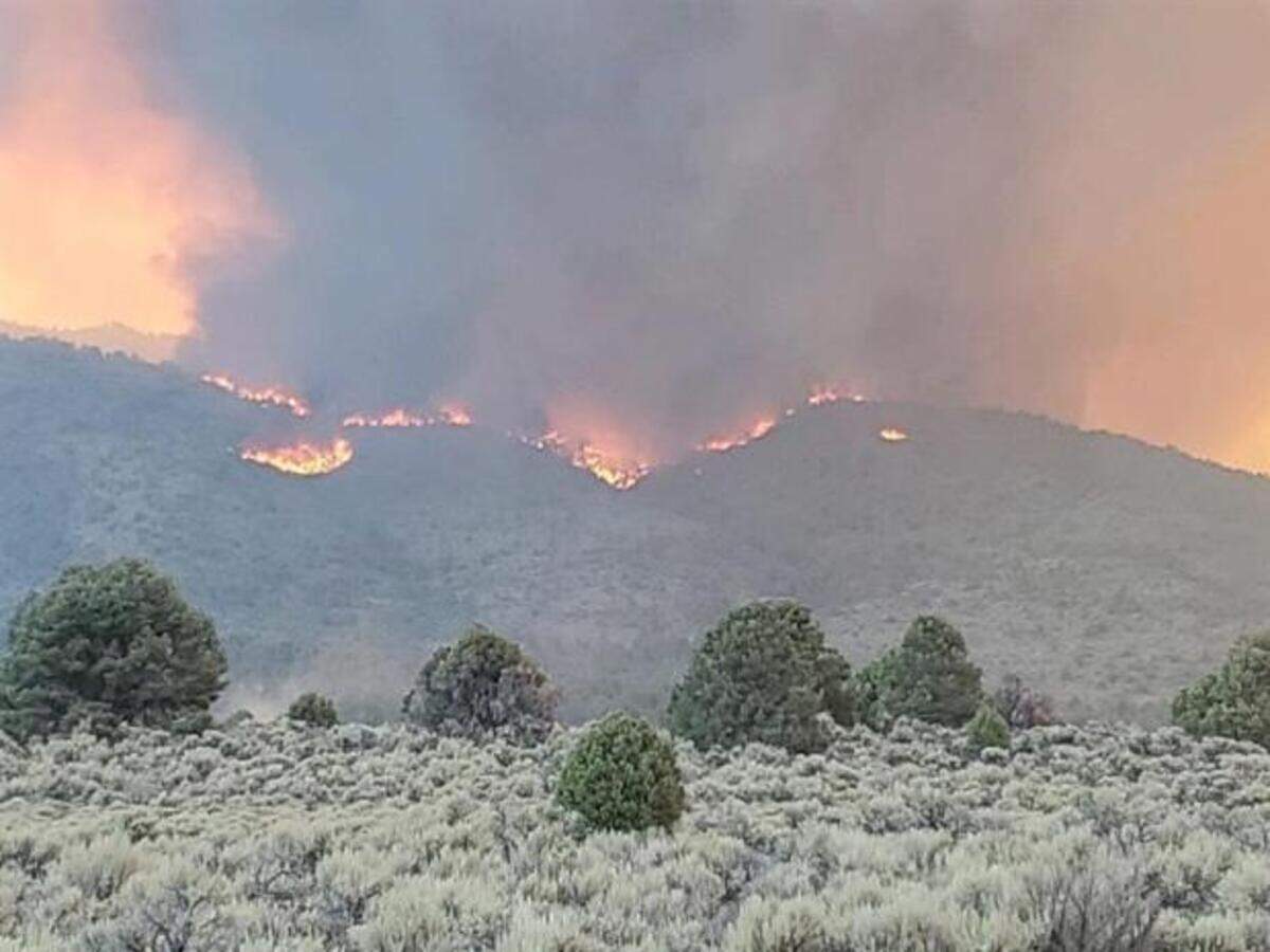 The Tamarack Fire burns in the Humboldt-Toiyabe National Forest on Wednesday, July 21 2021. The fire expanded to 44,000 acres on July 22, 2021.