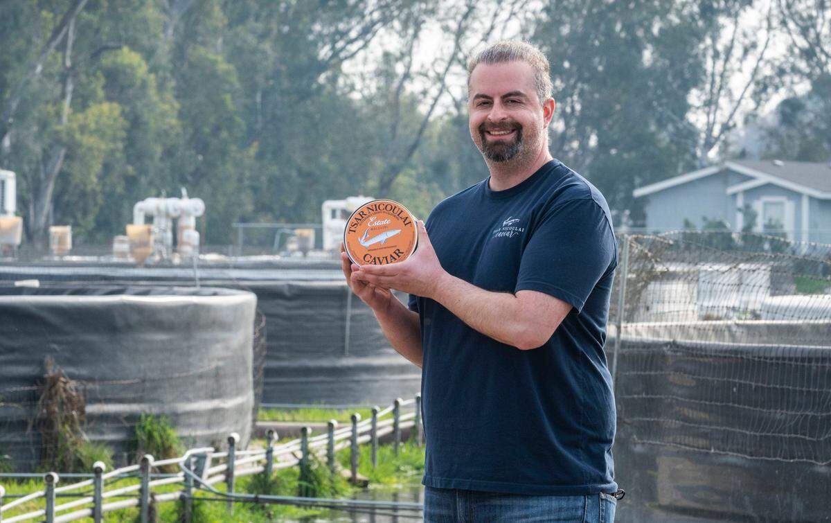 Ali Bolourchi, owner of Tsar Nicoulai sturgeon ranch in Wilton, holds a tin of caviar in front of his sturgeon tanks on Thursday, Jan. 13, 2022. Tsar Nicoulai Caviar is up for four Good Food Awards in 2026, after finalists were announced on Thursday, Jan. 29, 2026.