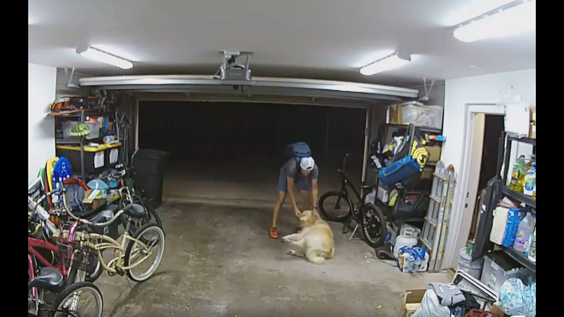 A man stopped mid-burglary to pet a household dog, police said.